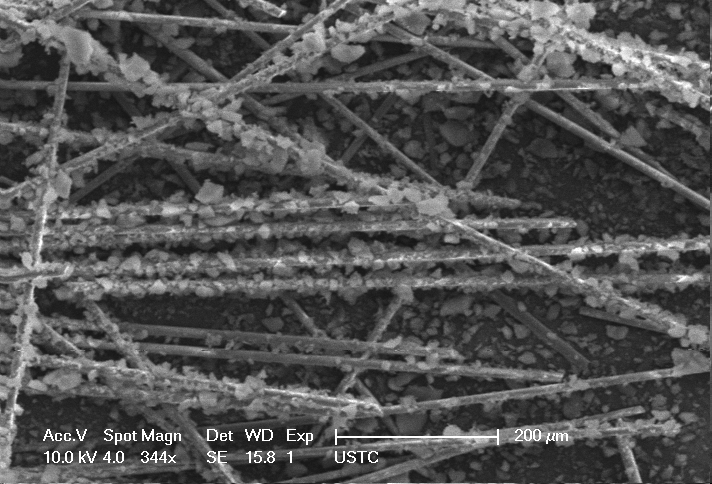 圖片3.png 圖片3.png